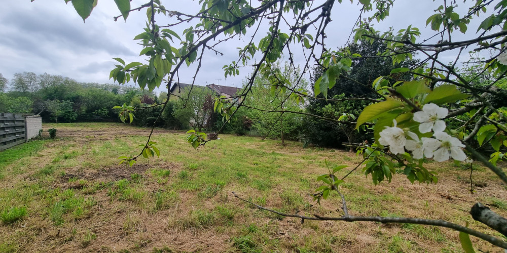 local industriel à DAX (40100)